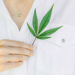 Guide complet sur l&rsquo;utilisation de l&rsquo;huile de CBD pour soulager la douleur